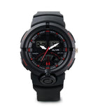 NARCISO WATCH